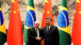 Xi et Lula exhortent les pays d&eacute;velopp&eacute;s &agrave; tenir leurs promesses financi&egrave;res sur le climat