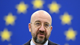 EU-Ratspr&auml;sident schl&auml;gt Vier-Punkte-Plan als Antwort auf US-Subventionspaket vor
