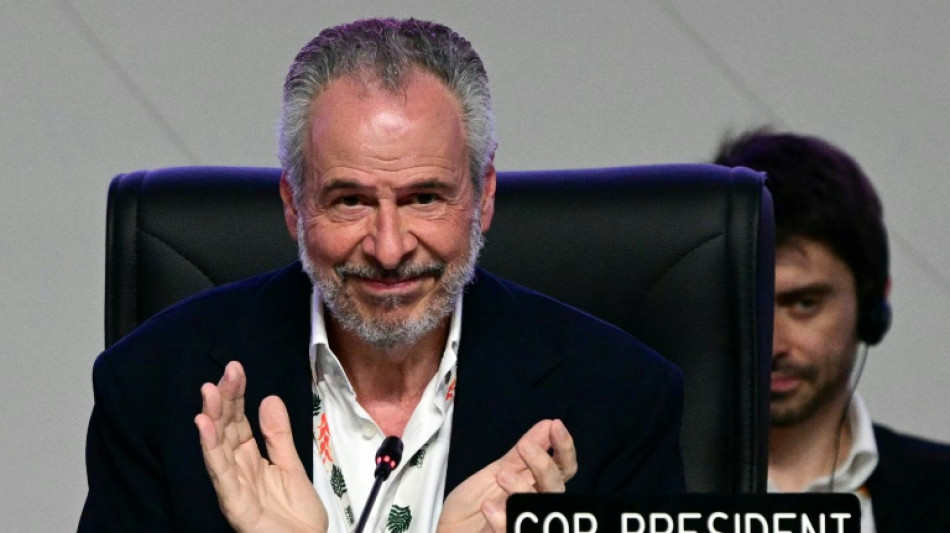 En Amazonie, le monde se contente d'une preuve de vie de la coopération climatique