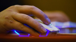 Tetris distanziert sich von Online-Videospiel auf Internetseite des Wei&szlig;en Hauses