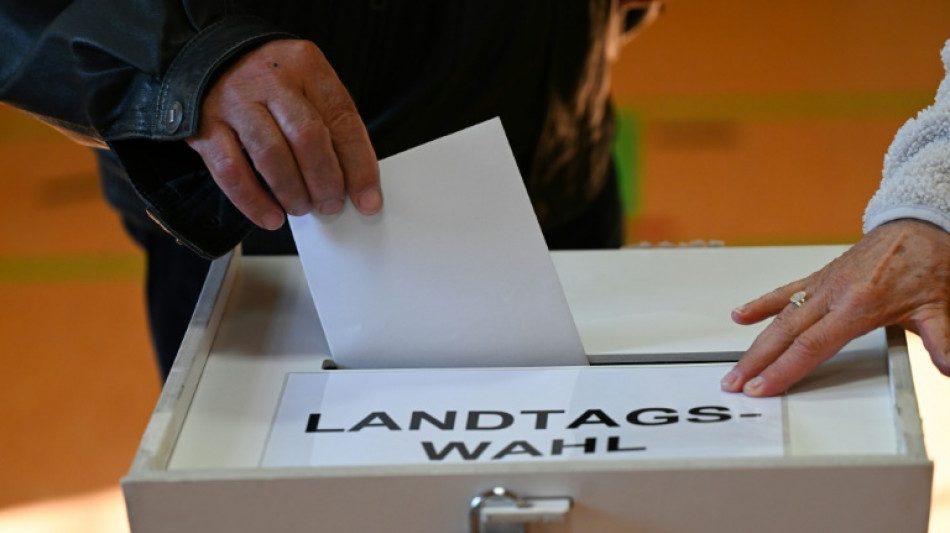 Hochrechnungen sehen Gr&uuml;ne in Brandenburg unter f&uuml;nf Prozent