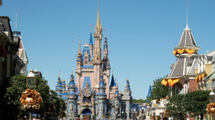 Disney streicht Pl&auml;ne f&uuml;r neuen Mitarbeiterkomplex in Florida