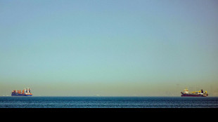 Usa autorizzeranno passaggio di Hormuz da e per porti non iraniani