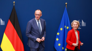 Merz, 'unit&agrave; e determinazione Ue hanno portato risultati'