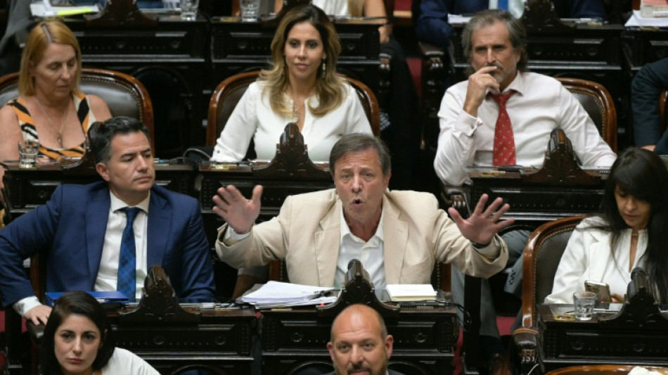 C&acirc;mara dos Deputados da Argentina aprova poderes delegados para Milei