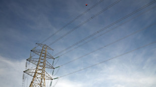 Umweltministerin: Ursachenforschung für Stromausfall in Spanien dauert noch Tage