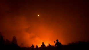 Incendies en Indon&eacute;sie: 300 maisons br&ucirc;l&eacute;es, 1.000 personnes &eacute;vacu&eacute;es dans le sud de Sumatra