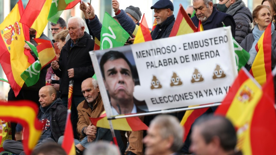 Zehntausende Vox-Anh&auml;nger protestieren gegen spanische Regierung