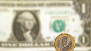 L'euro &egrave; in lieve rialzo, a 1,2096 dollari