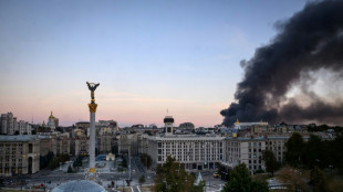 Rusia reanuda los ataques contra Kiev tras tres d&iacute;as de tregua