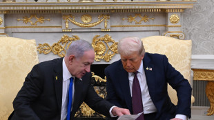 Trump, 'ho detto a Netanyahu: &egrave; la tua occasione per vincere'