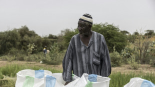Au S&eacute;n&eacute;gal, l'ing&eacute;nieuse introduction de poissons dans des rizi&egrave;res contre la bilharziose