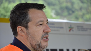 Salvini, 'con scusa Palestina stazioni bloccate, vergogna'