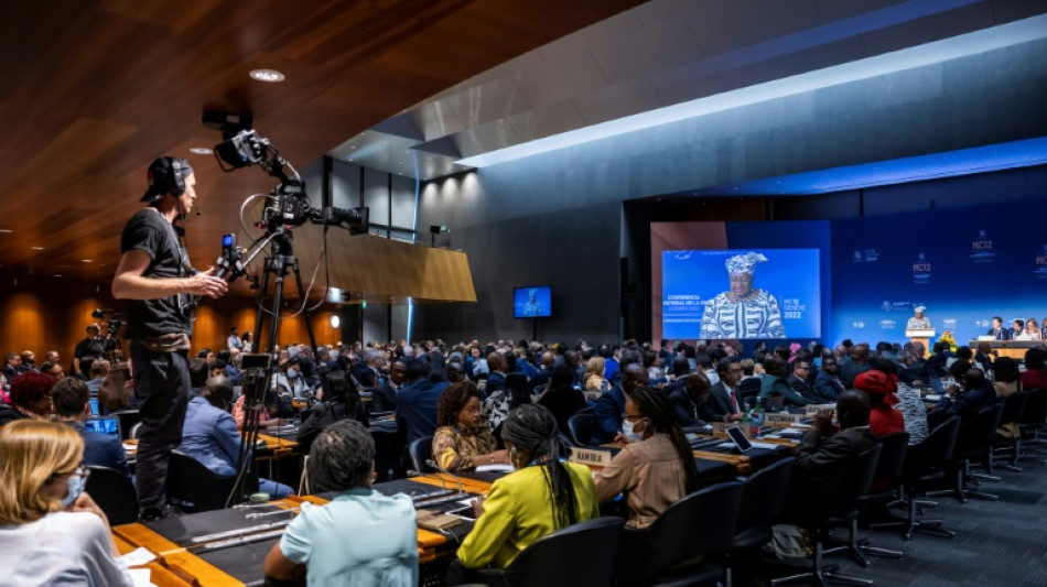 La OMC prolonga su reuni&oacute;n ministerial por las espinosas negociaciones sobre patentes y pesca
