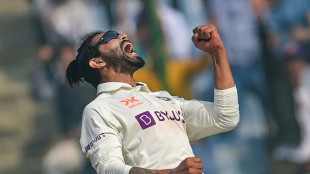 Former captains slam Australia's batting after India collapse