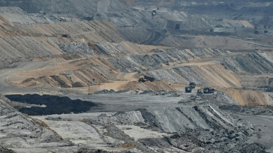 Oeneg&eacute;s ven falta de ambici&oacute;n del G20 para acabar con las energ&iacute;as f&oacute;siles