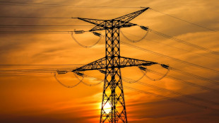 DIHK: Immer mehr Unternehmen erw&auml;gen Abwanderung wegen hoher Energiepreise