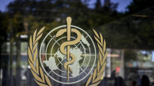 France reports first human Shamonda virus case, says no health risk