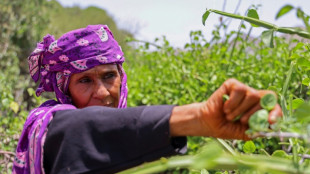 Yemen family deprived of aid reduced to eating tree leaves