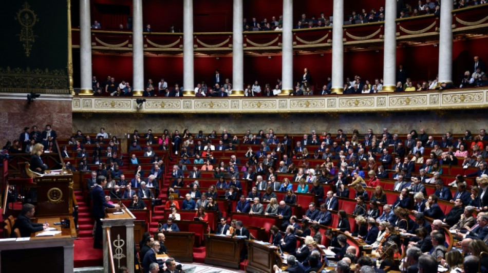 L'Assembl&eacute;e soutient largement l'accord avec l'Ukraine, sans le RN ni LFI