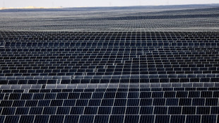 Australia green lights&nbsp;world's 'largest' solar hub