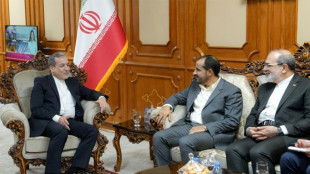 El canciller iran&iacute; se re&uacute;ne con un alto cargo de los rebeldes hut&iacute;es de Yemen en Om&aacute;n