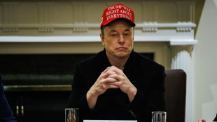 Musk contro consigliere al commercio di Trump,'un cretino'