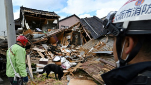 Elsa, una perra socorrista, busca sobrevivientes tras el sismo en Jap&oacute;n