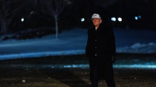 Trump, Putin ha accettato di non attaccare per una settimana