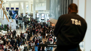 Senado de EEUU avanza para poner fin al caos en aeropuertos 