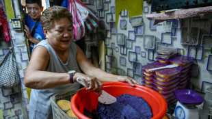 La mode de l'ube, un d&eacute;fi pour les agriculteurs philippins