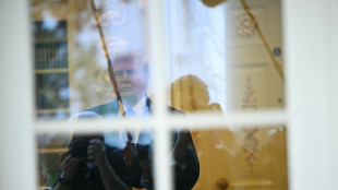 Stocks rally, oil falls further as Trump fans fresh peace hopes