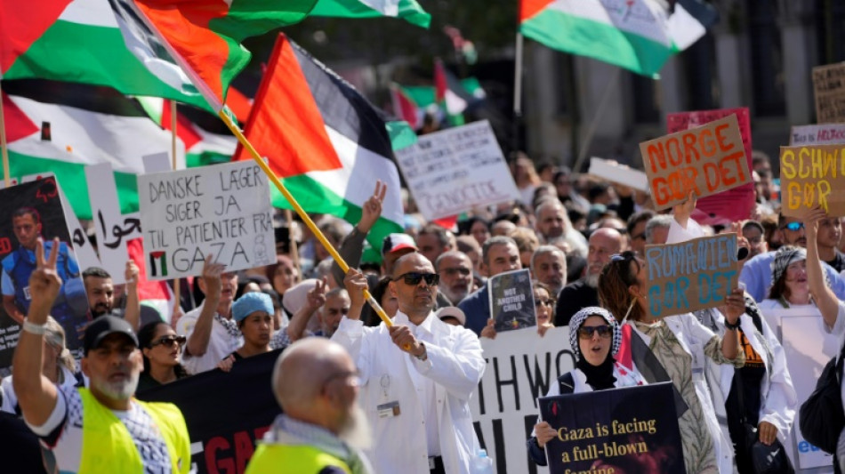 Milhares de pessoas participam de manifestação pró-palestinos em Copenhague