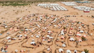 Plus de 71 millions de d&eacute;plac&eacute;s internes dans le monde, 2022 est un record