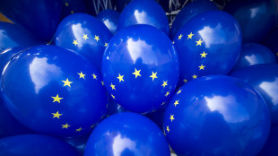 L'Ue riforma le regole sugli appalti pubblici, arriva la preferenza europea