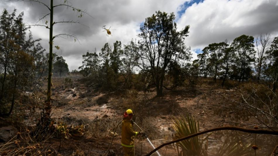 Las autoridades temen un aumento del balance de muertos en Haw&aacute;i, que ya roza el centenar