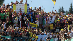 Pogacar habr&iacute;a 'firmado' estar a diez segundos de Vingegaard tras quince etapas