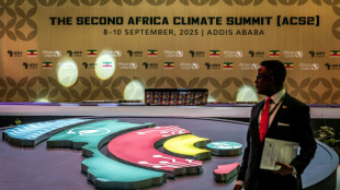 Avec 4% des émissions, l'Afrique demande plus d'argent pour son adaptation au réchauffement climatique