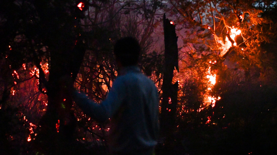 Si aggrava l'emergenza incendi in Patagonia, a fuoco 230 mila ettari