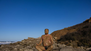 St&egrave;ve "le Phoque" r&eacute;ussit son d&eacute;fi de nager dans l'Antarctique, &agrave; 1&deg;C
