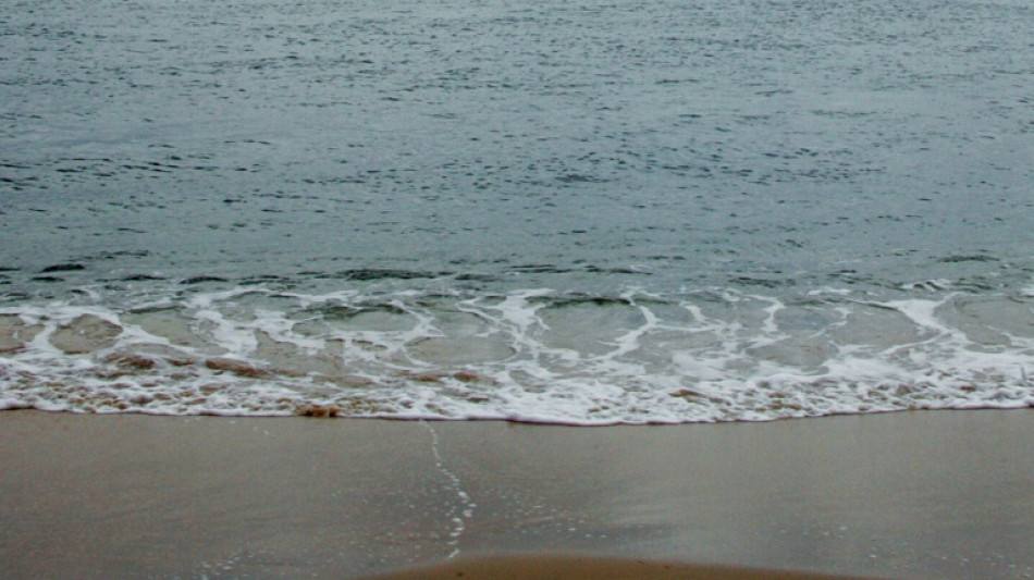 Les milliards de tonnes de sable arrach&eacute;es &agrave; la mer menacent l'environnement, alerte l'ONU