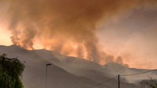 El incendio en la isla espa&ntilde;ola de Tenerife sigue sin control
