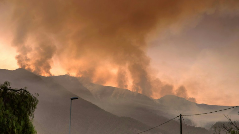 Incendio en la isla espa&ntilde;ola de Tenerife sigue sin control