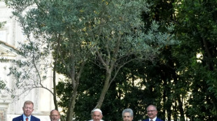 Le pape d&eacute;plore "la haine que s&egrave;me" la guerre entre le Hamas et Isra&euml;l