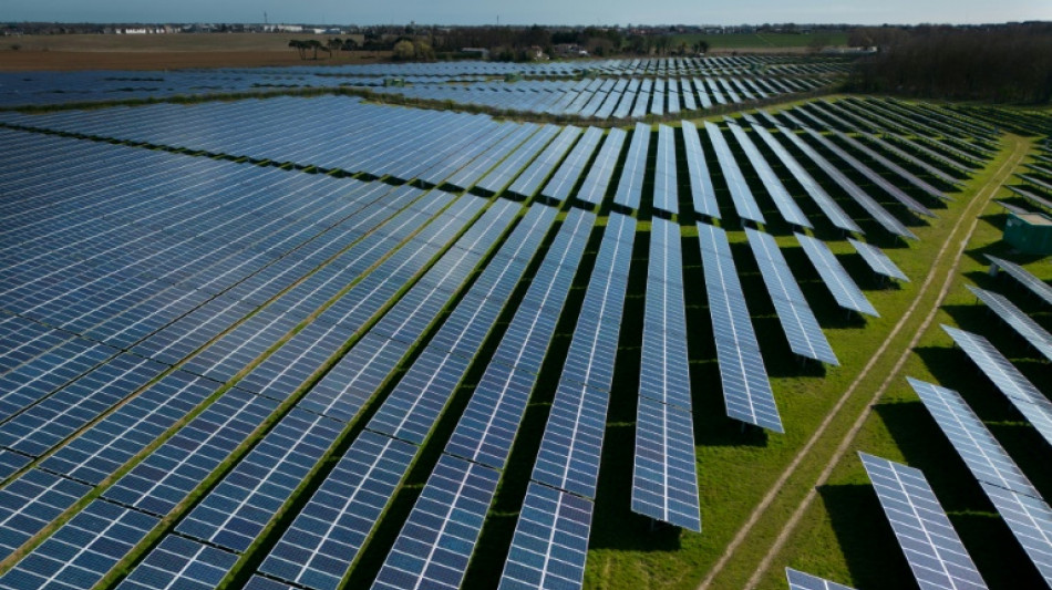 Gro&szlig;es Interesse an Ausschreibung f&uuml;r Solaranlagen - F&ouml;rderbedarf sinkt