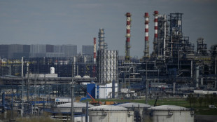 Russian oil exports hit near three-year high in March: IEA