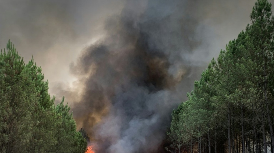El calor y la sequ&iacute;a reavivan incendios forestales en el sudoeste de Francia