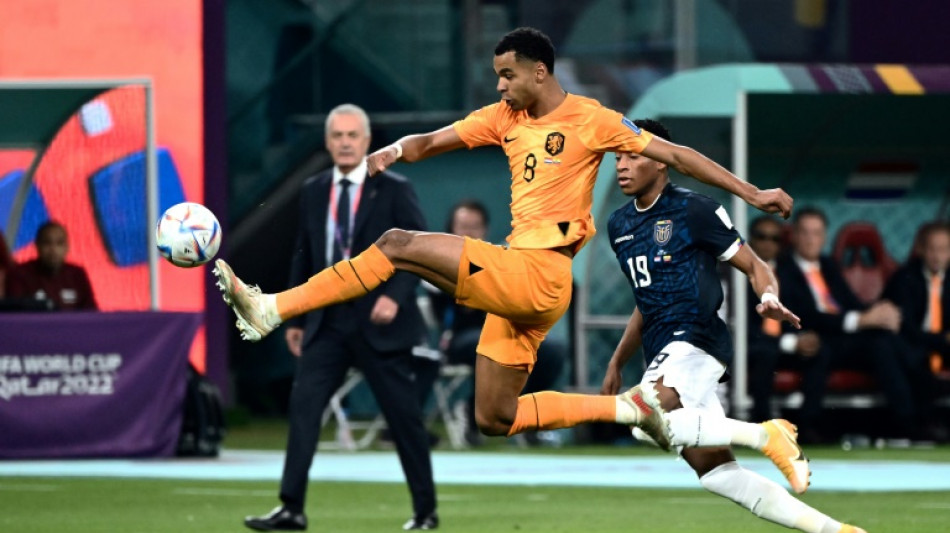 Hosts Qatar crash out of World Cup after Dutch held by Ecuador
