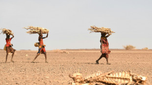 Kenia se prepara para votar mientras ignora la sequ&iacute;a que tiene a millones con hambre