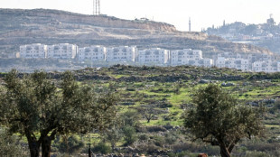 Deutschland und weitere Staaten verurteilen Genehmigung neuer israelischer Siedlungen